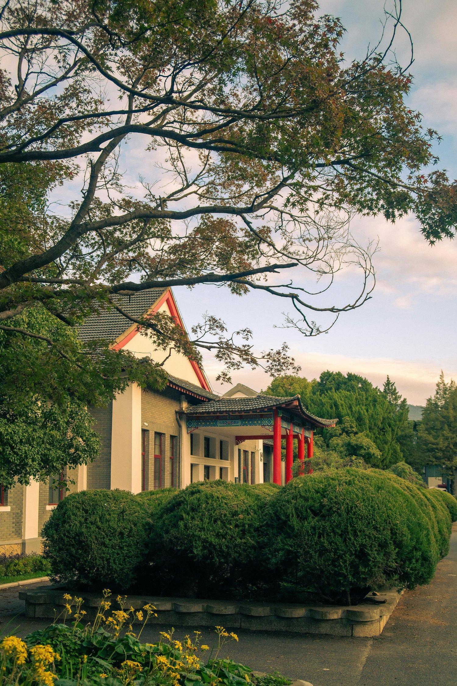 前歯だけの部分矯正が向いている人の特徴