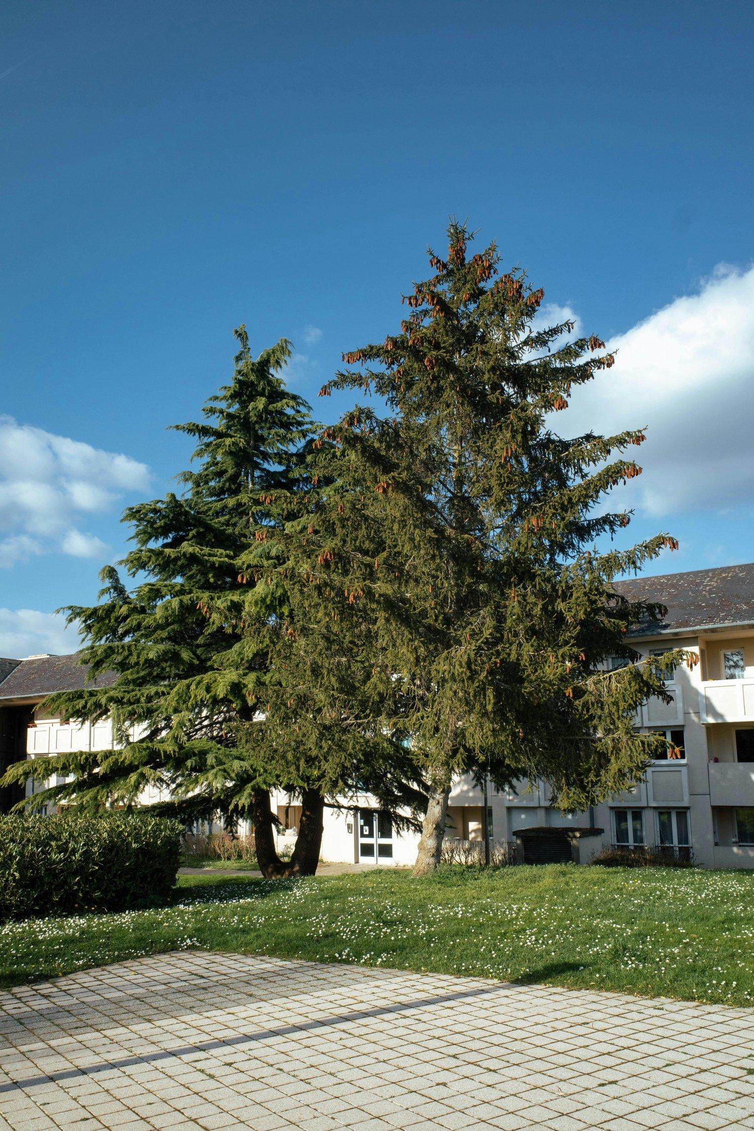 対策3 放置せず専門医に相談する方法