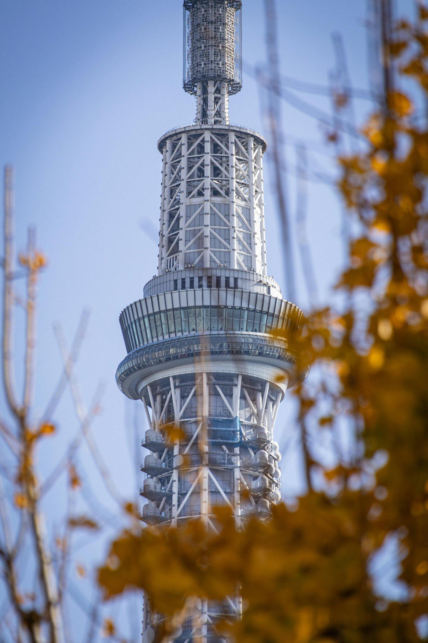 治療前にできるセルフチェックと準備
